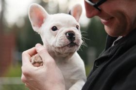 Billie Jean ( Hazel Blue ) im neuen Zuhause.JPG